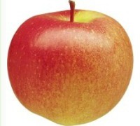 Braeburn